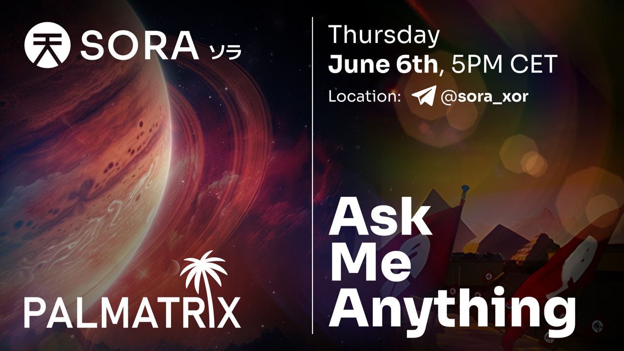 SORA X Palmtrix AMA