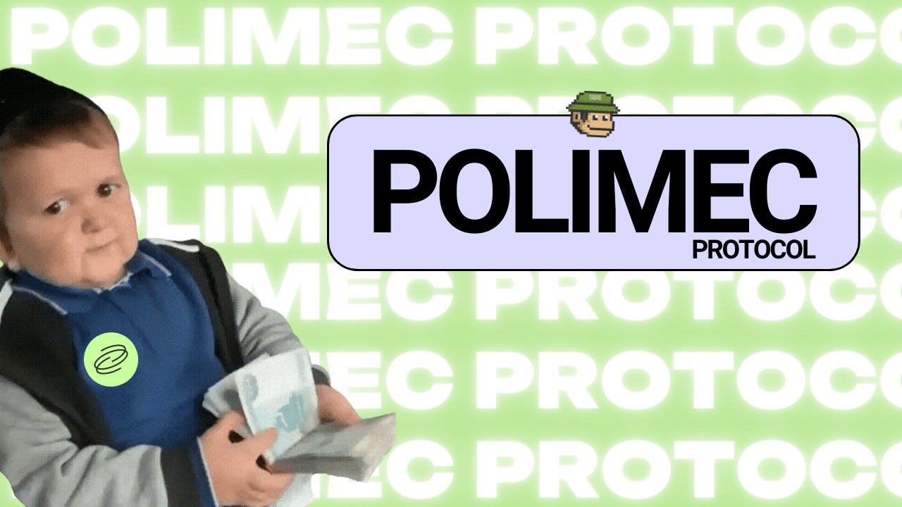 The potential of Polimec Protocol 🫡