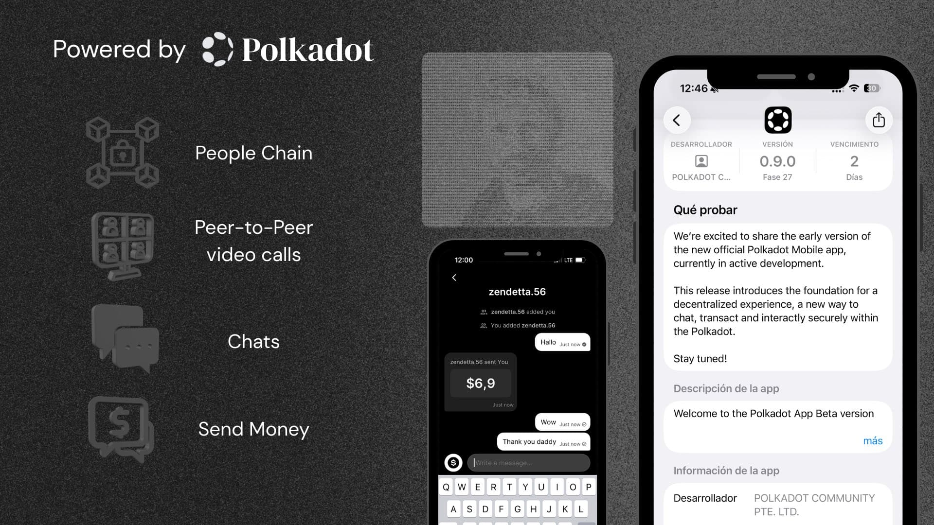 Polkadot App