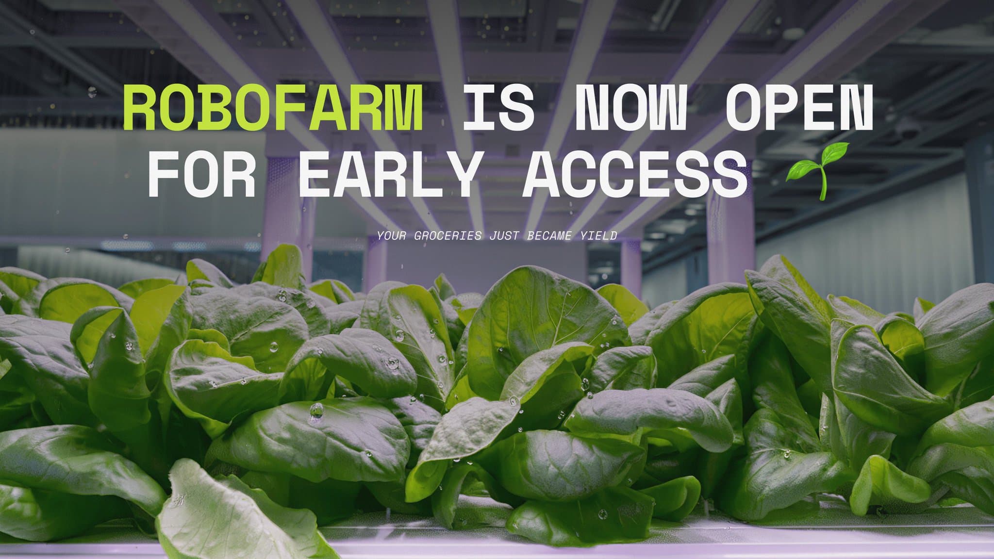 Lettuce in First!