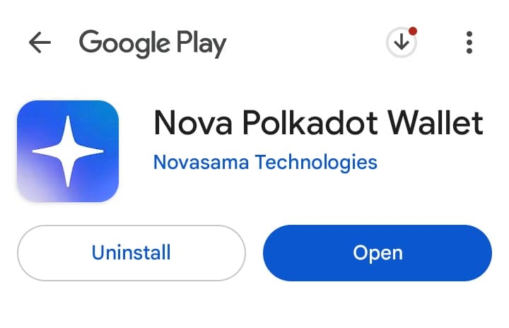 Nova Wallet: the non custodial wallet that stands out.