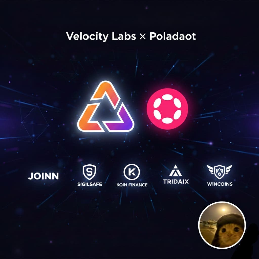 Velocity Labs DeFi Builders Program