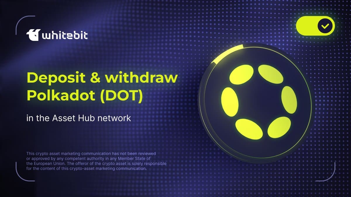 Setting the Stables Before the DOT