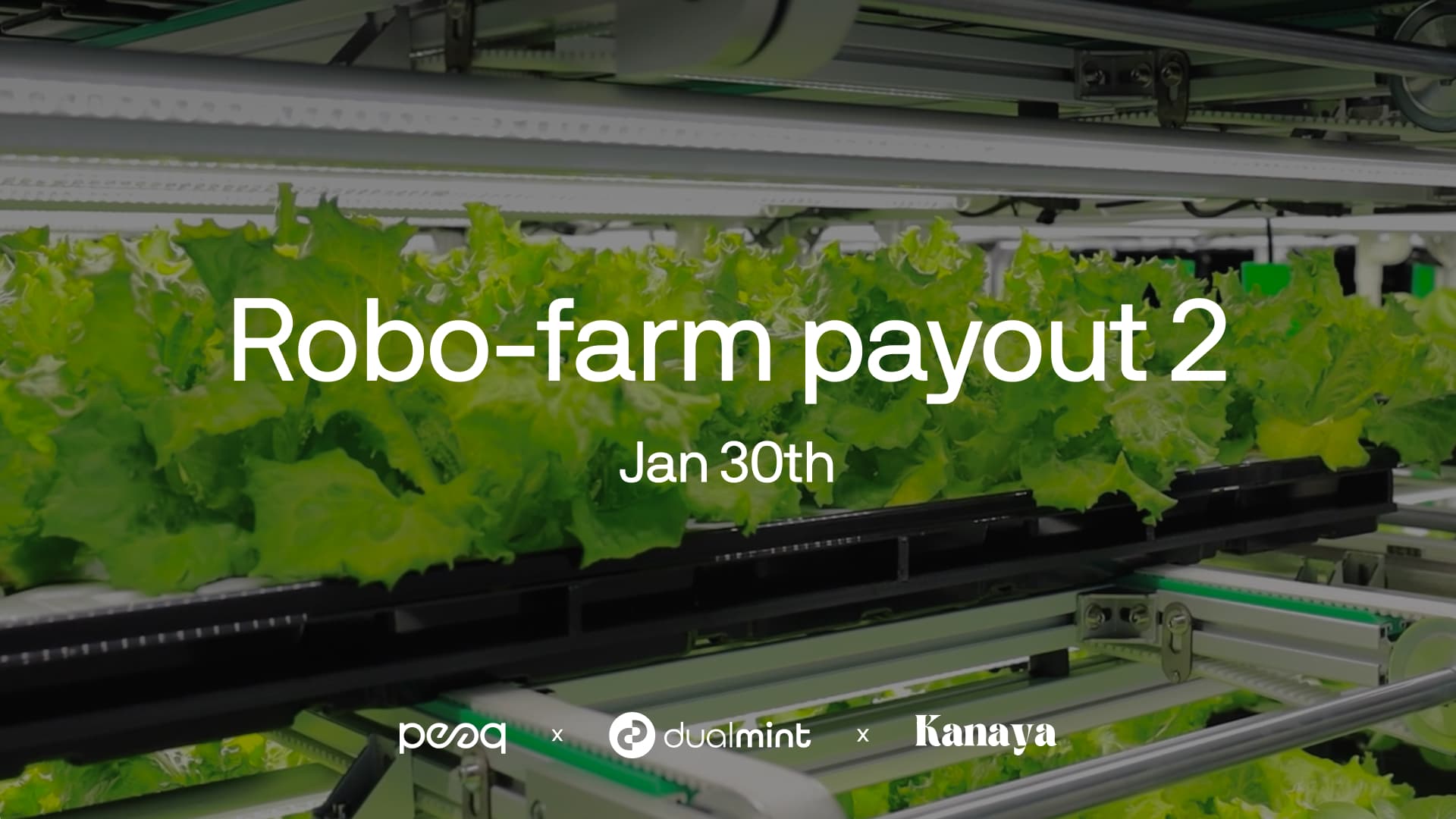 Greens in Your Wallet